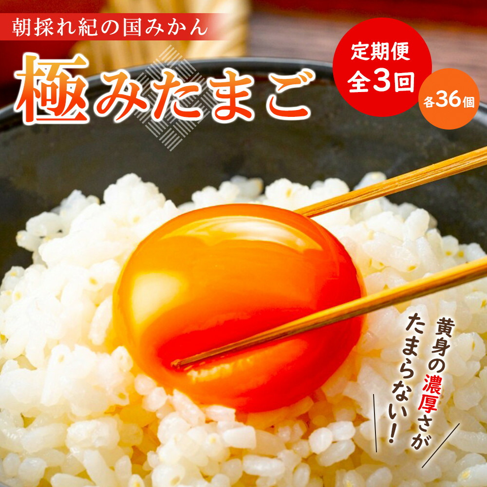 【ふるさと納税】【全3回】紀の国みかん極みたまご定期便  | 和歌山県 印南町 和歌山 返礼品 支援 楽天ふるさと 納税 たまご 玉子 卵焼き 玉子焼き たまご焼き 生卵 鶏卵  たまごかけ 国産  送料無料