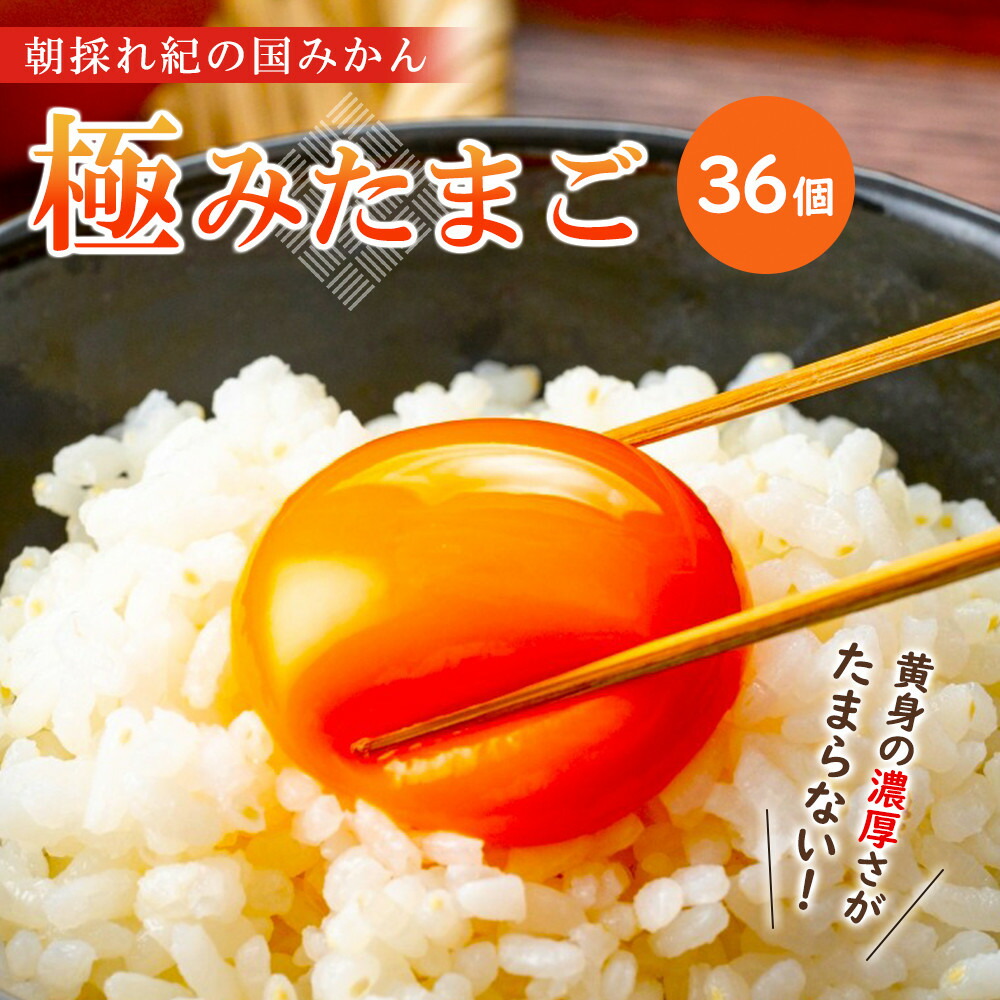 【ふるさと納税】紀の国みかん極みたまご36個  | たまご 玉子 卵焼き 玉子焼き たまご焼き 生卵 鶏卵 たまごかけ 国産 和歌山県産 印南町産 送料無料