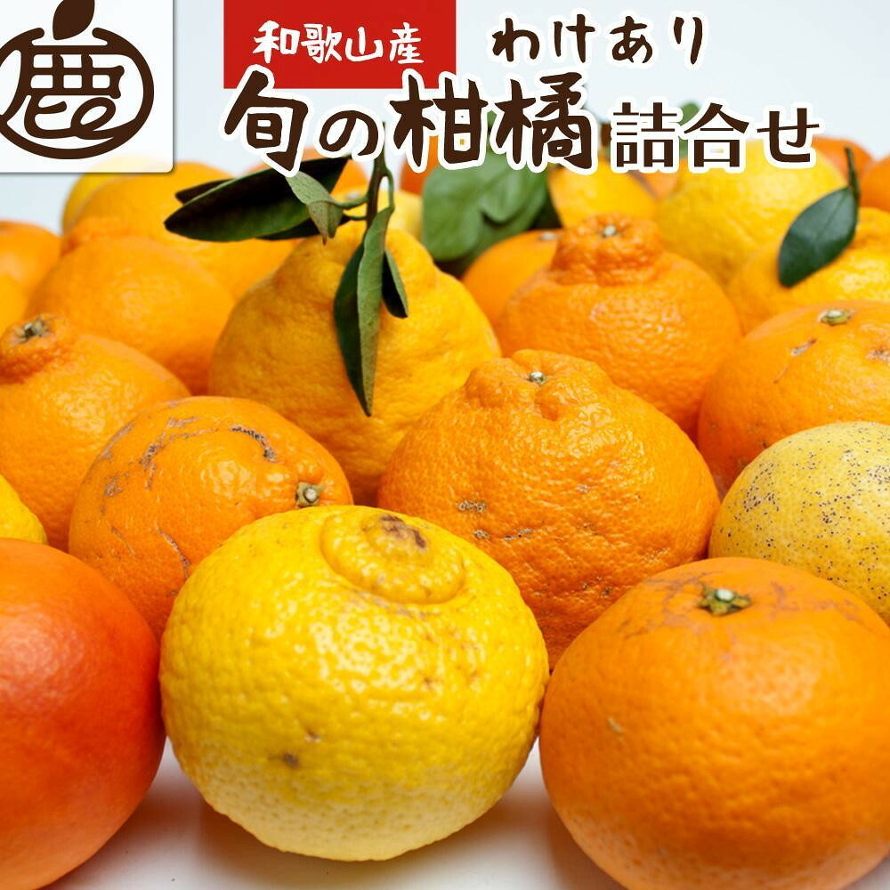 【ふるさと納税】【選べる容量】［先行予約］家庭用 柑橘詰合せ1kg～10kg+250g（傷み補償分）［訳あり・わけあり］［有田の春みかん詰め合わせ・フルーツ詰め合せ・オレンジつめあわせ］［光センサー選別］［IKE156］ | フルーツ 果物 くだもの 食品 人気 おすすめ 送料無料