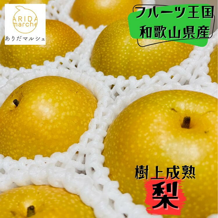 【ふるさと納税】和歌山の樹上成熟梨 約2kg（6～8玉）or 約4kg（12～15玉） ※2026年8月上旬～9月中旬頃発送予定| 先行予約 果物 フルーツ 甘い［MS103］ | 梨 フルーツ 果物 くだもの 食品 人気 おすすめ 産地直送 送料無料 10,500円