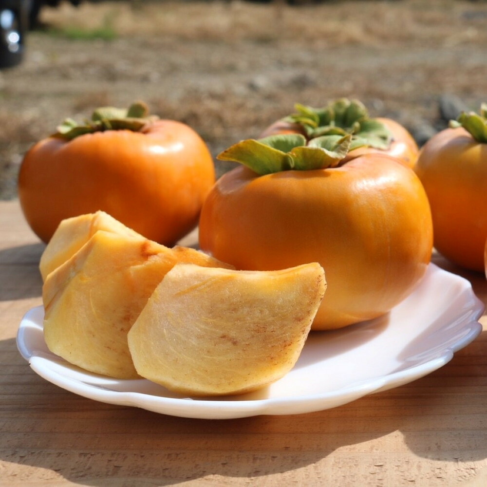 【ふるさと納税】［産地直送］和歌山県産 柿 約5kg 秀品［US68］ | フルーツ 果物 食品 人気 ギフト プレゼント お土産 送料無料｜和歌山県印南町