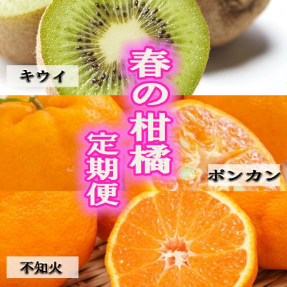 【ふるさと納税】【定期便全3回 固定月】 和歌山の人気の春のフルーツをお届け！ （キウイ・ポンカン・不知火） ［TM257］ | 定期便 おたのしみ フルーツ 果物 くだもの 食品 人気 おすすめ 送料無料｜和歌山県印南町