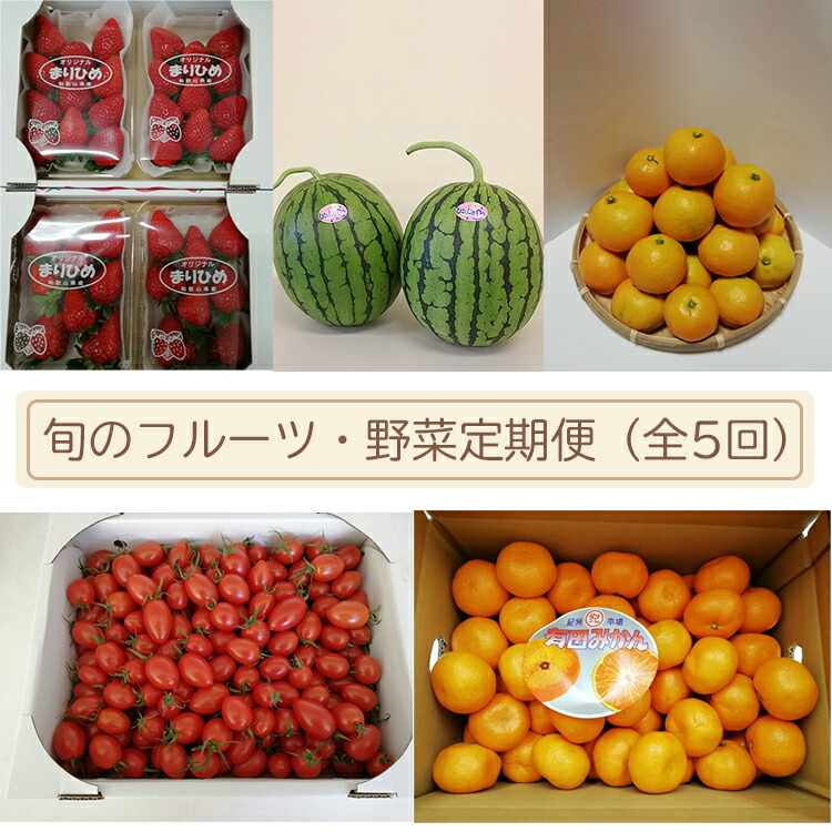 ふるさと納税 フルーツ 果物 定期便 旬のフルーツ 野菜定期便 全5回 北海道 沖縄 離島への配送不可 和歌山県印南町