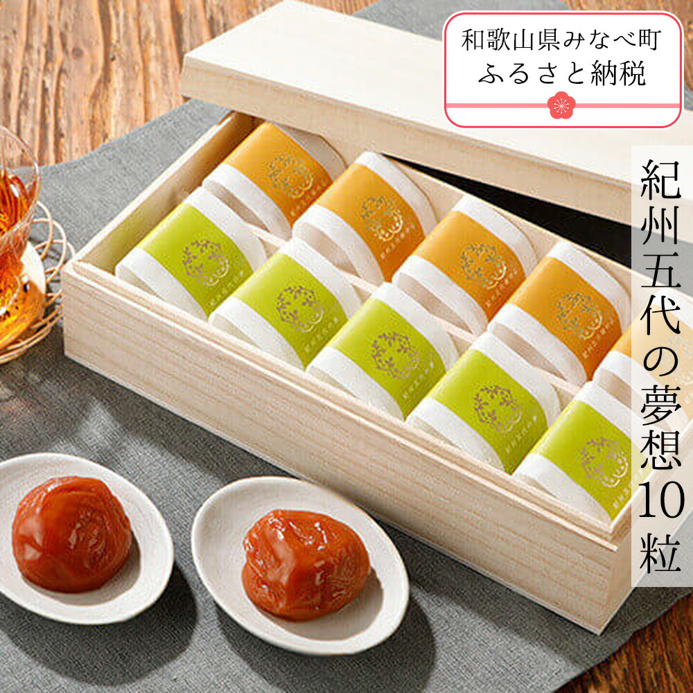 【ふるさと納税】紀州五代の夢想　10粒 | 梅干し 梅干 梅干 うめ ウメ ギフト 贈答品 贈り物