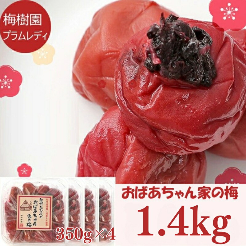 【ふるさと納税】紀州みなべのおばあちゃん家の梅 家庭用 / しそ梅 しそ漬け梅 紫蘇梅 昔ながら しょっぱい すっぱい 塩分約20% 小分け 贈答 贈り物 プレゼント 家庭用 普段使い 大容量 おにぎり お弁当|和歌山県みなべ町
