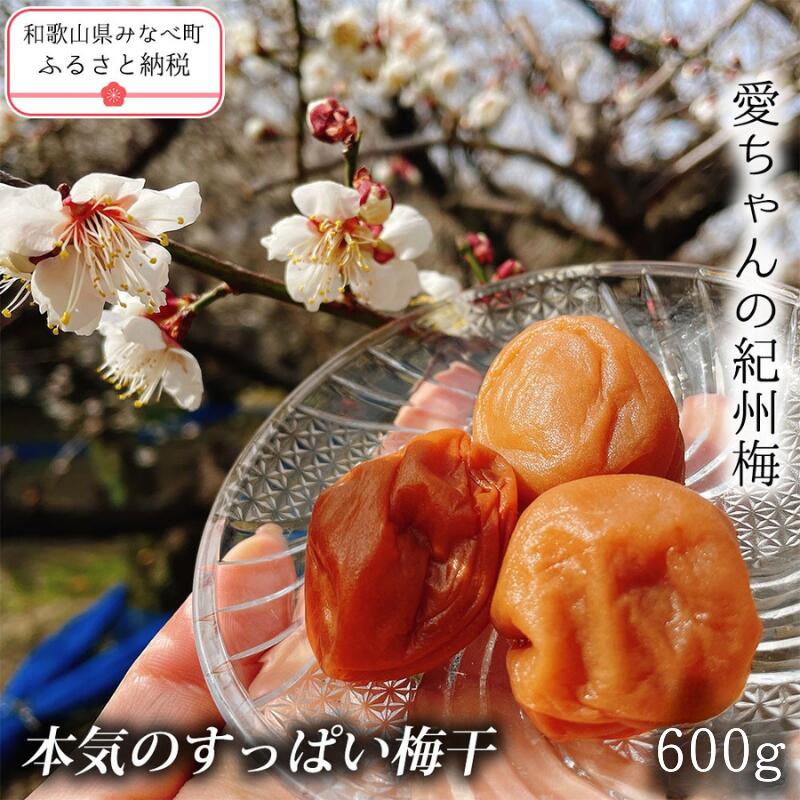【ふるさと納税】【本気のすっぱい梅干】愛ちゃんの紀州梅 贈答用 600g | 《日本一の梅の産地》 和歌山 みなべ町 無添加 梅 うめ ウメ 梅干 母の日 白干し 梅干し 塩分 18% 甘くない