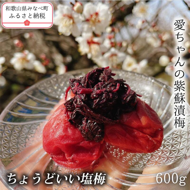 【ふるさと納税】【ちょうどいい塩梅】愛ちゃんの紫蘇漬 贈答用 600g | 《日本一の梅の産地》 和歌山 みなべ町 梅 うめ ウメ 梅干 梅干し しそ梅 しそ 塩分 13% 甘くない ギフト 贈り物｜和歌山県みなべ町