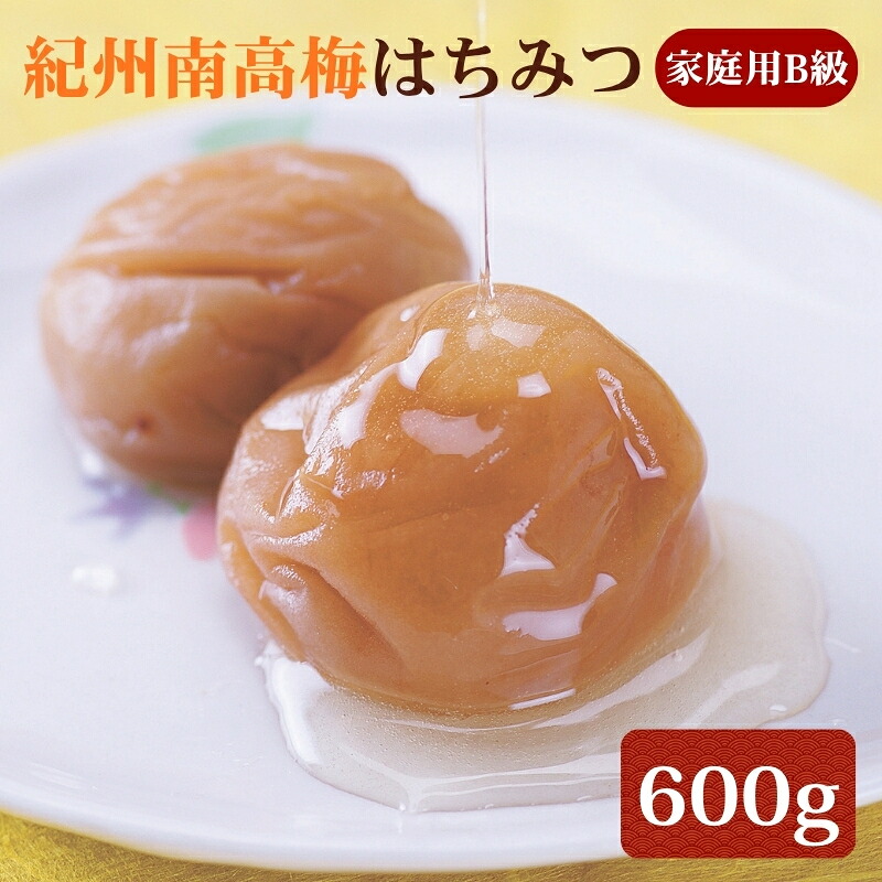 【ふるさと納税】紀州南高梅 はちみつ 家庭用B級 600g |梅干 うめぼし 南高梅 はちみつ梅 蜂蜜 和歌山｜和歌山県みなべ町