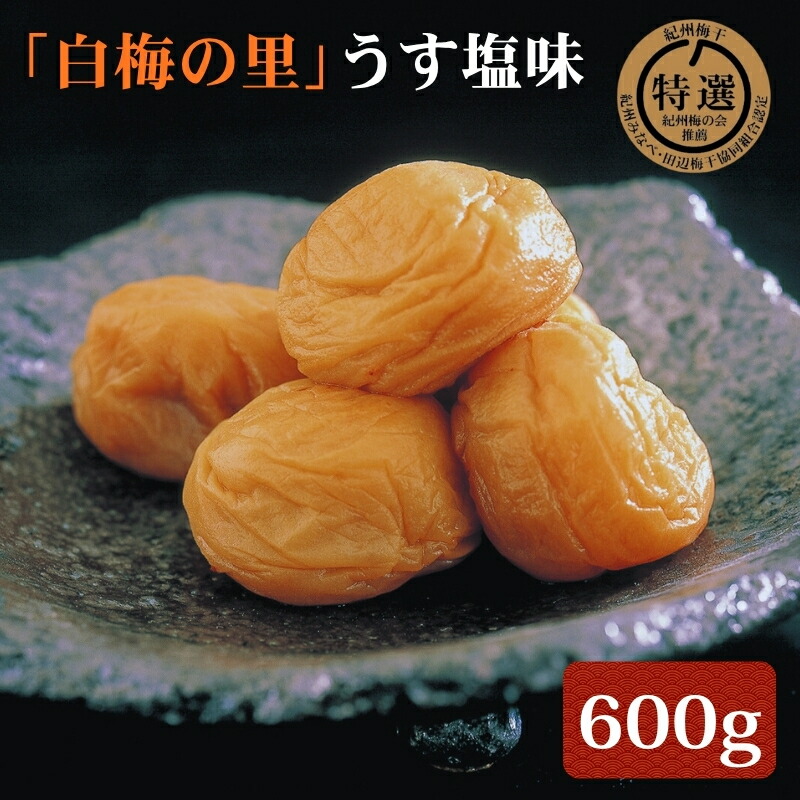 【ふるさと納税】特選　紀州南高梅「白梅の里」うす塩味　600g | 梅干し 梅干 南高梅 梅 ウメ うめ うす塩