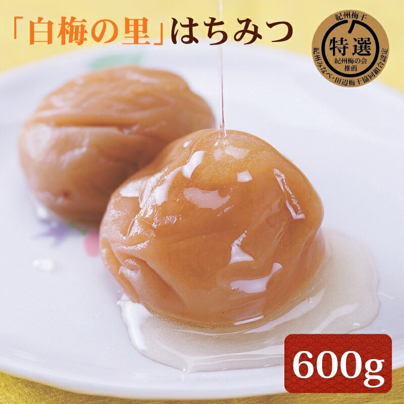 【ふるさと納税】特選　紀州南高梅「白梅の里」はちみつ　600g | 南高梅 梅 うめ ウメ はちみつ梅 ご飯のお供｜和歌山県みなべ町