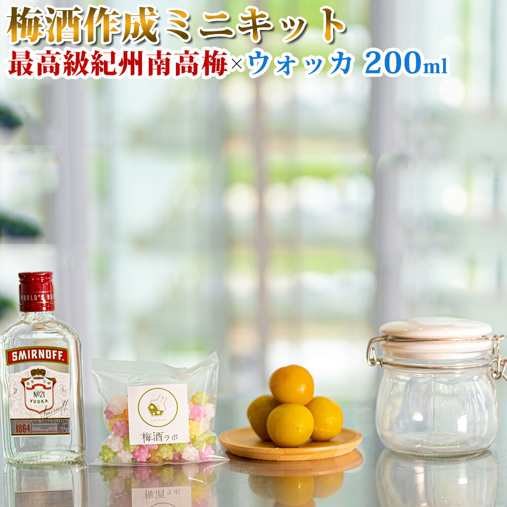 【ふるさと納税】梅酒作成ミニキット（ウォッカベース） 200ml | 最高級紀州南高梅 南高梅 和歌山 紀州 ウォッカ ウォッカ梅酒 クラフト梅酒 梅 うめ