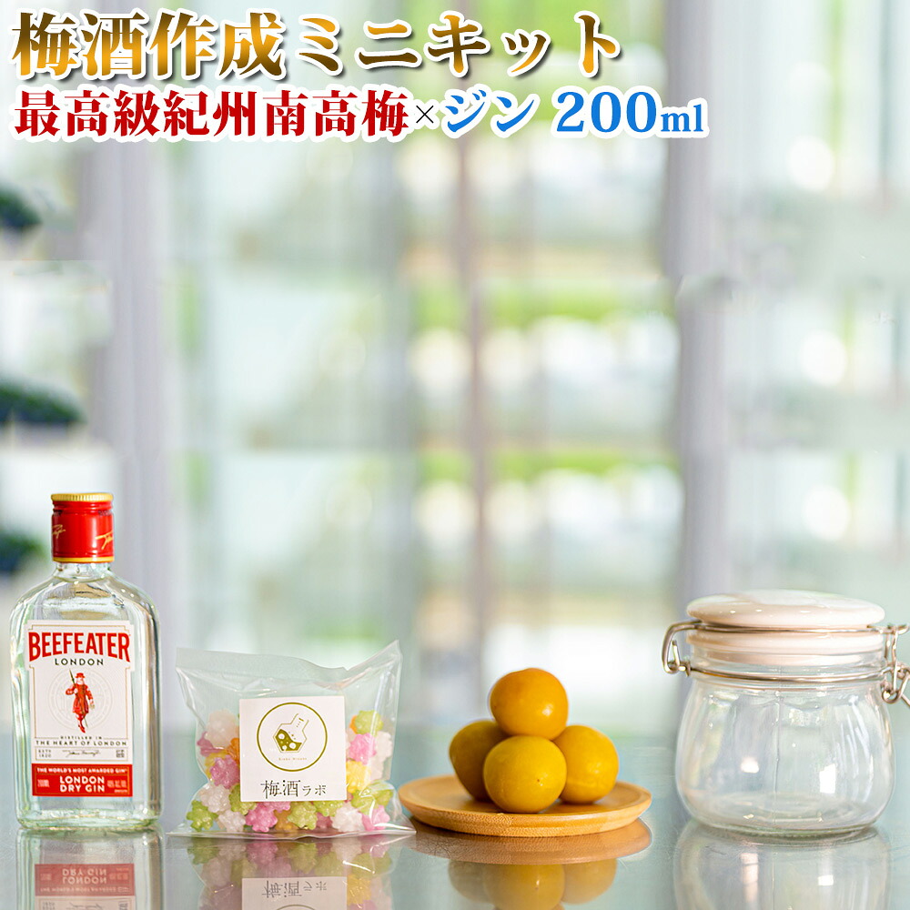 【ふるさと納税】梅酒作成ミニキット(ジンベース) 200ml | 最高級紀州南高梅 南高梅 和歌山 紀州 ジン ジン梅酒 クラフト梅酒 梅 うめ|和歌山県みなべ町