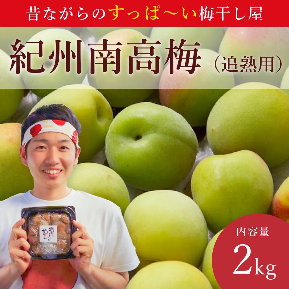【ふるさと納税】【先行予約】紀州南高梅（青梅）2kg（追熟用）