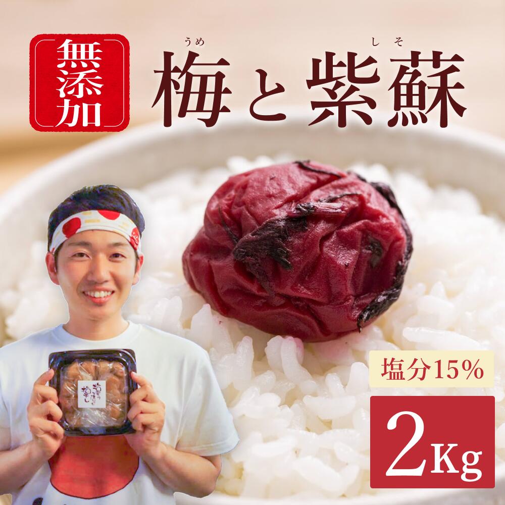 【ふるさと納税】【最大３ヶ月待ち】【無添加梅干し】塩と紫蘇だけで漬けた梅干し1kg×2パック | 梅干し 南高梅 梅ボーイズ うめひかり 無添加 天日塩 紫蘇 しそ ご飯のお供