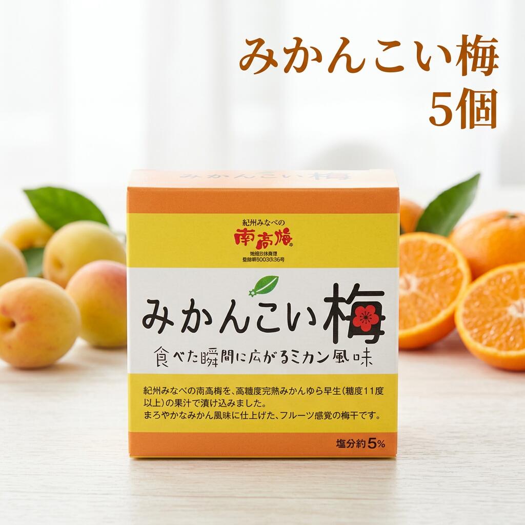 【ふるさと納税】みかんこい梅 100g&times;5個 紀州南高梅 みかん風味 塩分約5％ みなべ町｜和歌山県みなべ町