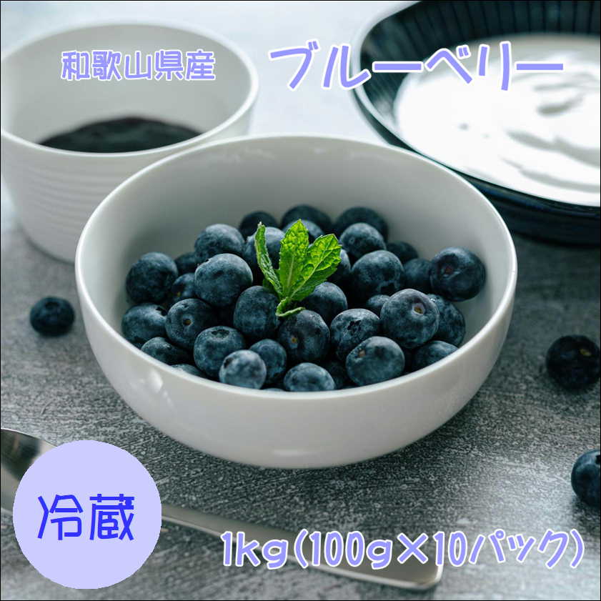 【ふるさと納税】 【2026年6月下旬より順次発送予定】 【5月10日頃より順次発送】 ブルーベリー 1kg(100g×10) | ブルーベリー 果物 くだもの フルーツ 和歌山|和歌山県みなべ町