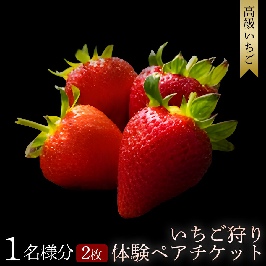 楽天市場】【ふるさと納税】 【開催期間 2027年1月1日～5月7日】いちご