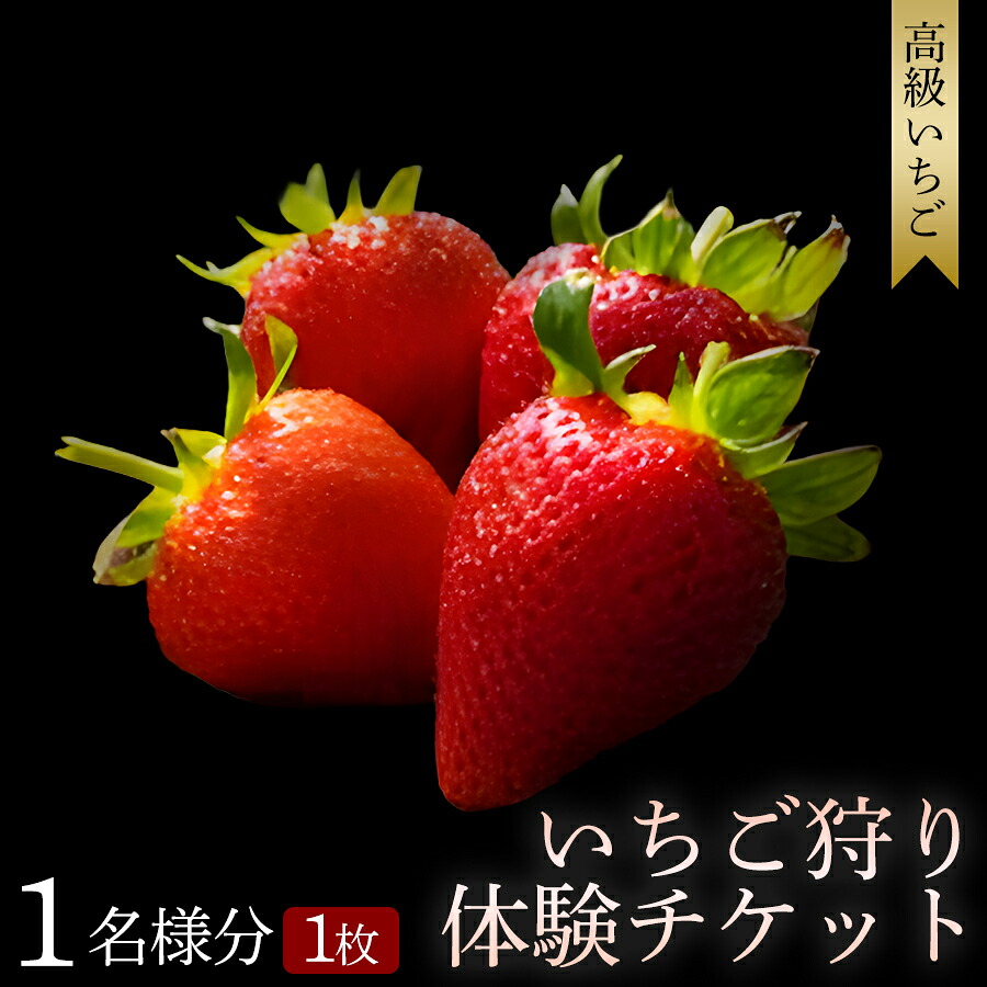 【ふるさと納税】【開催期間 2027年1月1日～5月7日】いちご狩り体験チケット ( 1名様分) | いちご いちご狩り みなべ町 果物 フルーツ 体験 チケット 関西 和歌山｜和歌山県みなべ町