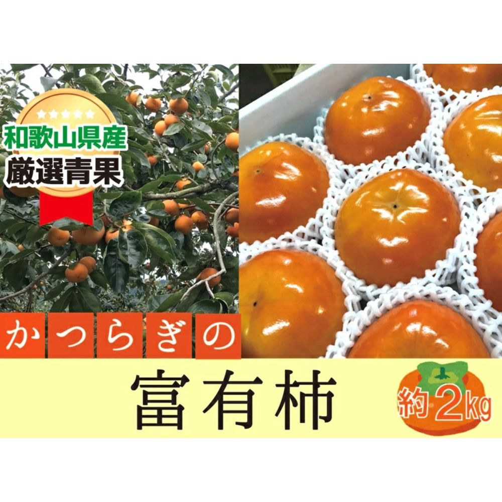 【ふるさと納税】柿 富有柿【秀品】和歌山県産 約2kg 【2026年11月中旬から2026年12月上旬発送】｜柿 フルーツ 果物 秀品 富有柿｜和歌山県みなべ町