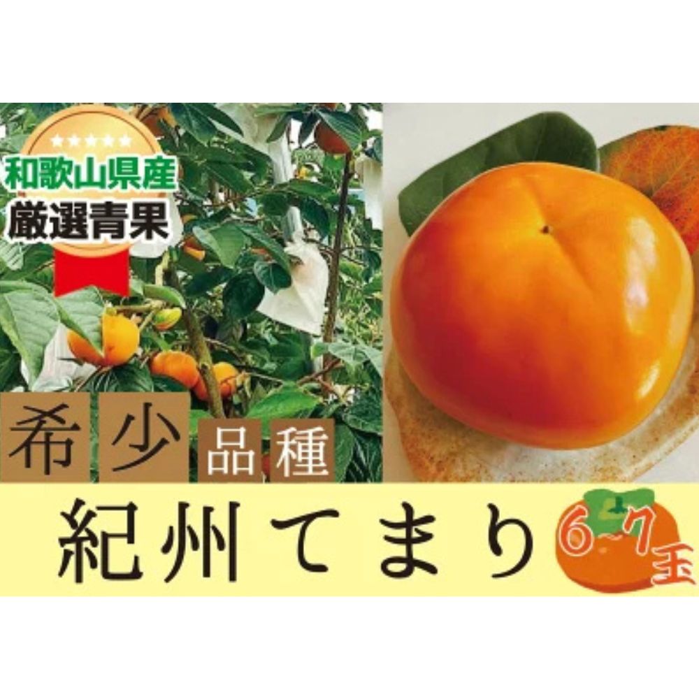 【ふるさと納税】希少品種の柿〇紀州てまり〇6~7玉入り【2026年10月下旬以降発送】|柿 フルーツ 果物 希少 輝太郎|和歌山県みなべ町