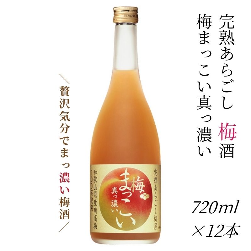 【ふるさと納税】 メルシャン×みなべ町・JA紀州 完熟あらごし梅酒　梅まっこい 真っ濃い 720ml×12本 完熟南高梅のフルーティな甘さと、とろりとした口当り。