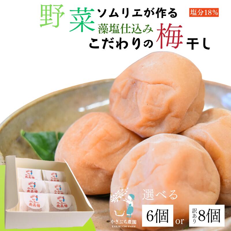 【ふるさと納税】 野菜ソムリエが作る 無添加 梅干し 藻塩仕込み 6個入り または 8個入り（訳あり品）紀州南高梅 白干し｜和歌山県みなべ町