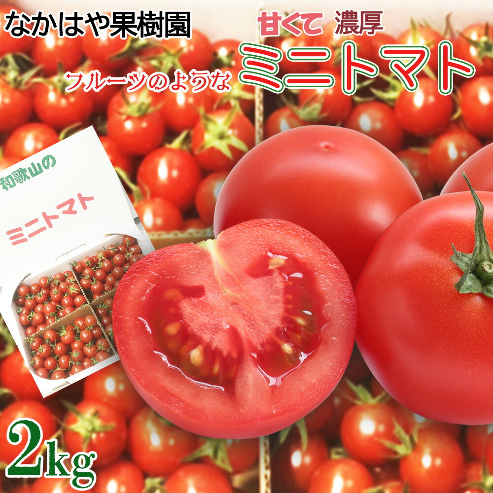 【ふるさと納税】ミニトマト 2kg | キャロルセブン ミニトマト プチトマト トマト 農家直送 野菜
