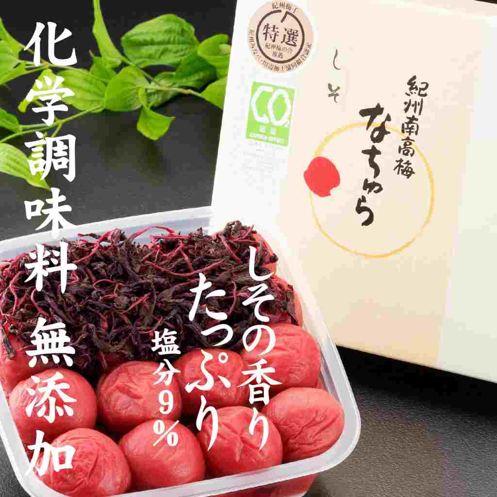 【ふるさと納税】紀州産南高梅 なちゅら（しそ漬）塩分9％ 300g | 梅干し 南高梅 梅 うめ ウメ 紫蘇 大粒 塩分控えめ 無添加｜和歌山県みなべ町