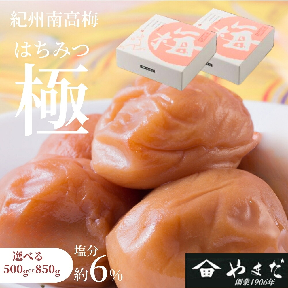 【ふるさと納税】紀州南高梅 はちみつ極(塩分約6%) 500g~850g | 南高梅 梅 うめ ウメ 梅干し はちみつ はちみつ梅 甘さ控えめ 塩分控えめ 着色料不使用 甘味料不使用|和歌山県みなべ町