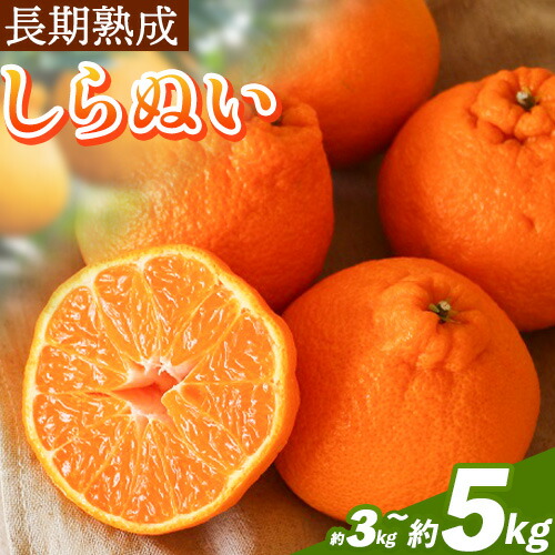 【ふるさと納税】2025年5月出荷！長期熟成 しらぬい 約 3kg（10～15個） 約 5kg（18～24個）まるまつ農園《5月上旬-6月上旬頃より出荷予定》 和歌山県 日高川町 不知火 柑橘 しらぬい 熟成 長期熟成 果物 フルーツ