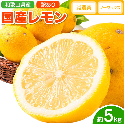 【ふるさと納税】レモン 訳あり 国産 レモン 5kg (サイズ混合) ノーワックス 減農薬 どの坂果樹園《2026年2月上旬-5月末頃より出荷》 和歌山県 日高川町 レモン れもん 檸檬 家庭用 旬 新鮮 果物 柑橘 フルーツ 訳あり 大容量 Lemon remon 送料無料