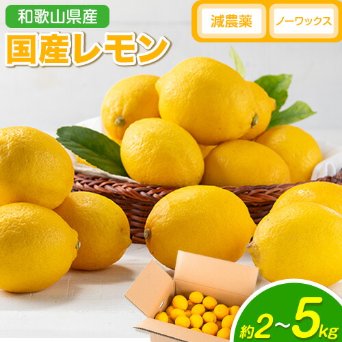 【ふるさと納税】レモン 国産 レモン 選べる内容量 2kg 3kg 5kg (L～4Lサイズ)  ノーワックス 減農薬 どの坂果樹園《2025年2月上旬-5月末頃より出荷》 和歌山県 日高川町 レモン れもん 檸檬 旬 果物 フルーツ 柑橘 産地直送 送料無料
