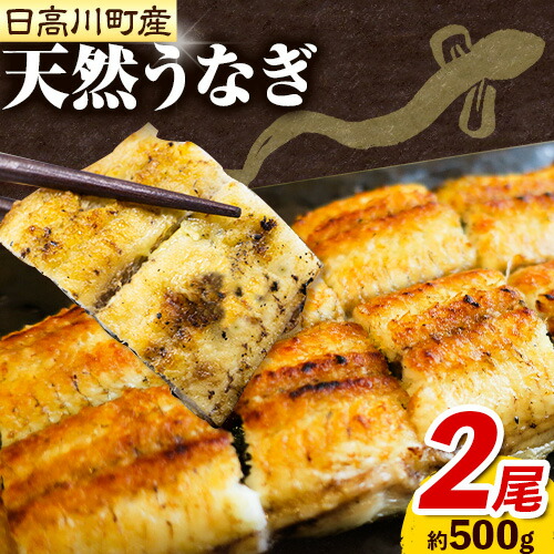 【ふるさと納税】天然 うなぎ 日高川町産 2尾 約 500g 日高川産 蒲焼 の たれ付き  川漁師なおべ《6月中旬-8月末頃出荷》 和歌山県 日高川町 魚 鰻 蒲焼き 白焼き バーベキュー 天然 真空 パック 送料無料