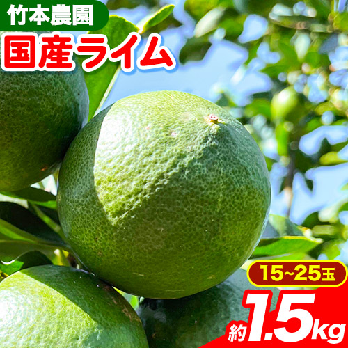 【先行予約】【ふるさと納税】ライム 国産 ライム 約1.5kg ( 15～25玉 )《2025年9月下旬-12月中旬頃出荷》竹本農園 和歌山県 日高川町 産地直送 旬 新鮮 果物 柑橘 らいむ フルーツ 国産 送料無料