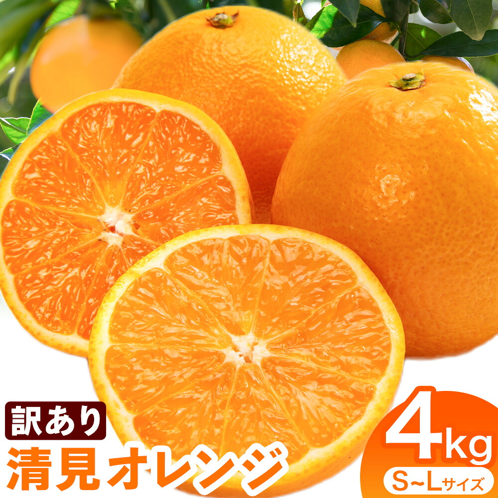 【ふるさと納税】【先行予約】 訳あり 清見オレンジ サイズ混合 約4kg《2027年2月中旬-4月下旬頃出荷》竹本農園 和歌山県 日高川町 清見 オレンジ 旬 新鮮 果物 柑橘 フルーツ 国産 ミカン みかん 送料無料｜和歌山県日高川町