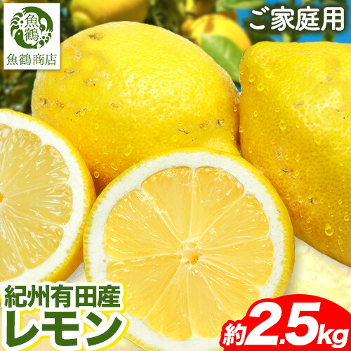 【ふるさと納税】【ご家庭用訳あり】紀州 有田産 レモン 約 2.5kg 魚鶴商店《3月上旬-3月中旬頃出荷》和歌山県 日高川町 柑橘 レモン れもん フルーツ 檸檬