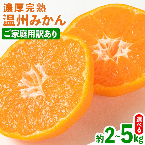 【ふるさと納税】【先行予約】【ご家庭用訳アリ】 紀州有田産 濃厚完熟温州みかん 選べる内容量 約2kg 約5kg 魚鶴商店《2026年11月下旬-2027年1月下旬頃出荷》 和歌山県 日高川町 みかん 温州みかん 完熟 濃厚 柑橘 ご家庭用