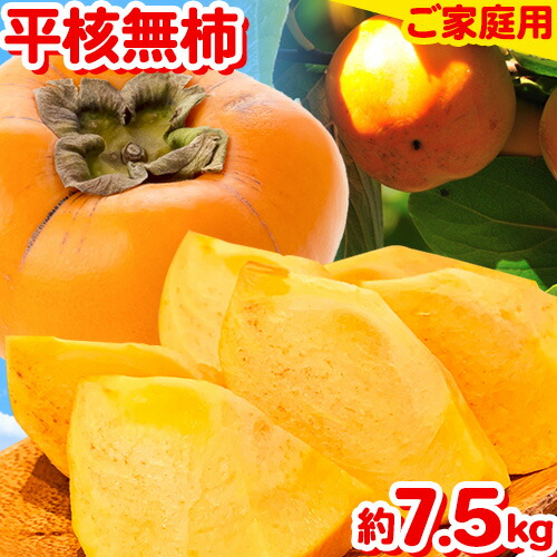 【ふるさと納税】ご家庭用 和歌山秋の味覚平核無柿(ひらたねなしがき)約7.5kg 株式会社魚鶴商店《10月上旬-11月上旬頃出荷》 和歌山県 日高川町 柿 カキ かき たねなし ジューシー フルーツ