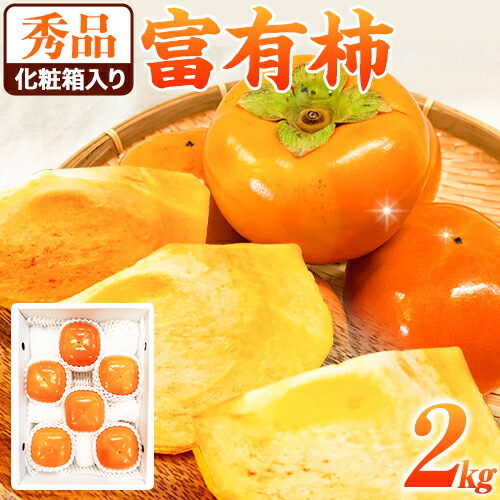 【ふるさと納税】＜先行予約＞秀品 和歌山 秋の味覚 富有柿 約2kg 化粧箱入 株式会社魚鶴《2025年11月上旬-12月上旬頃出荷》和歌山県 日高川町 柿 富有柿 フルーツ