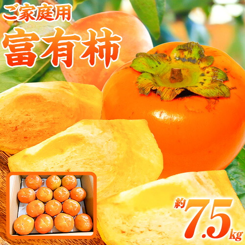 【ふるさと納税】＜先行予約＞【ご家庭用わけあり】 和歌山 秋の味覚 富有柿 約7.5kg 株式会社魚鶴《2026年11月中旬-12月上旬頃出荷》和歌山県 日高川町 柿 富有柿 フルーツ