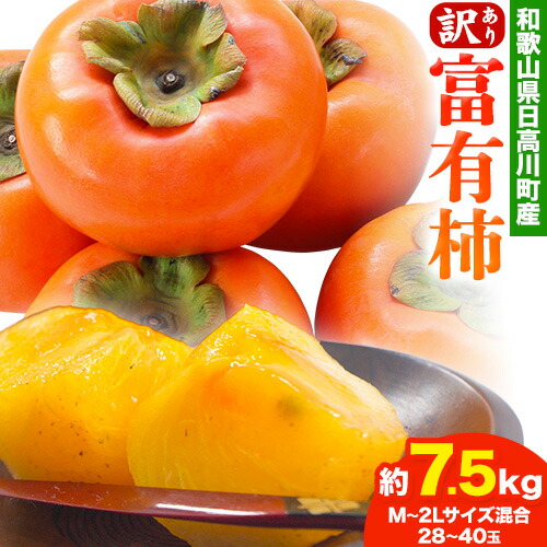 【ふるさと納税】＜先行予約＞【訳あり】富有柿 約7.5kg ( 28～40玉 M~2Lサイズ混合 ) 山本農園 《2025年10月下旬-12月上旬頃出荷》 和歌山県 日高川町 柿 かき ご家庭用 フルーツ 果物