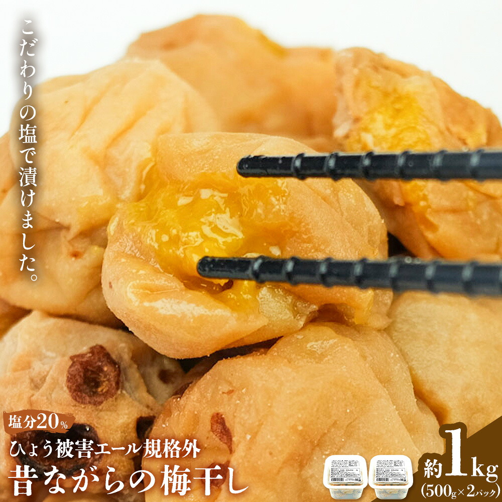 【ふるさと納税】ひょう被害あり昔ながらの梅干し 塩のみで漬けたすっぱい梅干し 約1kg 500g 2パック 農業法人 株式会社紀州梅香《30日以内に出荷予定(土日祝除く)》 和歌山県 日高川町 梅 うめ フルーツ 果物｜和歌山県日高川町