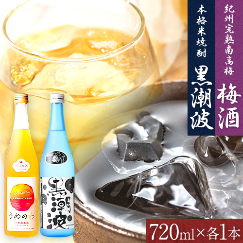 【ふるさと納税】本格米焼酎 黒潮波 （くろしおなみ） と 紀州完熟南高梅 梅酒 720ml×各1本 2本セット 厳選館《90日以内に出荷予定(土日祝除く)》 和歌山県 日高川町 酒 梅酒 焼酎 米焼酎 果実酒