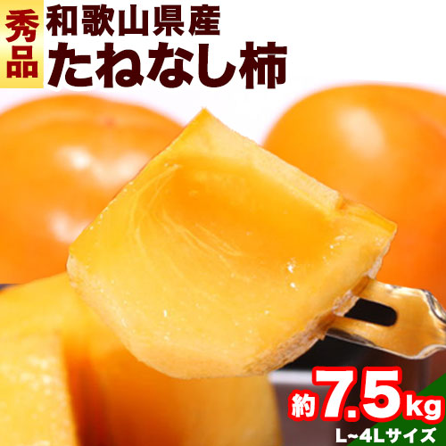 【先行予約】【ふるさと納税】 和歌山産 たねなし 柿 （ L～4L サイズ おまかせ ） 約 7.5kg 秀品 厳選館 《2025年10月上旬-11月中旬頃出荷》 和歌山県 日高川町 柿 カキ かき ジューシー フルーツ たねなし