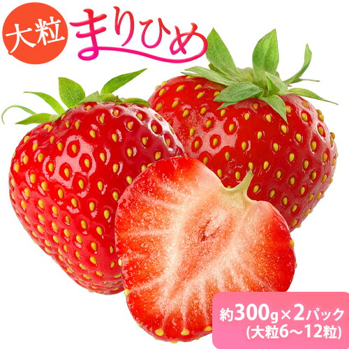 【ふるさと納税】和歌山県産ブランドいちご「まりひめ」約300g×2パック（大粒6～12粒） 日高川町厳選館《12月中旬-2月末頃出荷》和歌山県 日高川町 送料無料 苺 鞠姫 マリヒメ フルーツ 果物 お取り寄せ 【配送不可地域あり】