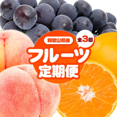 【ふるさと納税】人気フルーツ全3回（7月・9月・11月）定期便 厳選館《7月上旬-11月末頃出荷》和歌山県 日高川町 果物 フルーツ 和歌山の 桃 種なし ピオーネ 有田 みかん 送料無料【配送不可地域あり】 27,950円