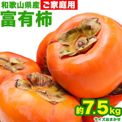 【ふるさと納税】 先行予約 〈ご家庭用〉 和歌山産 富有柿 約 7.5kg 厳選館 《2025年11月上旬-12月下旬頃出荷》 和歌山県 日高川町 柿 カキ かき ジューシー フルーツ