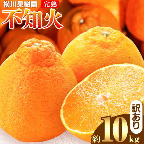 【ふるさと納税】【先行予約】完熟 不知火 ( デコポン)と同品種 約10kg S～2L 家庭用 サイズ混合 横川果樹園 《2026年3月中旬-4月末頃出荷》 和歌山県 日高川町 不知火 みかん 果物 柑橘 フルーツ 送料無料