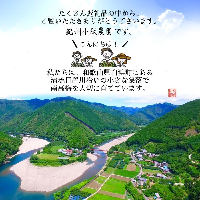 市場 ふるさと納税 白浜町 紀州南高梅 梅農家の厳選手づくり梅干 樽出しそのまま長期熟成 白干梅 450ｇ 和歌山 2Ｌサイズ 和歌山県 ふるさと