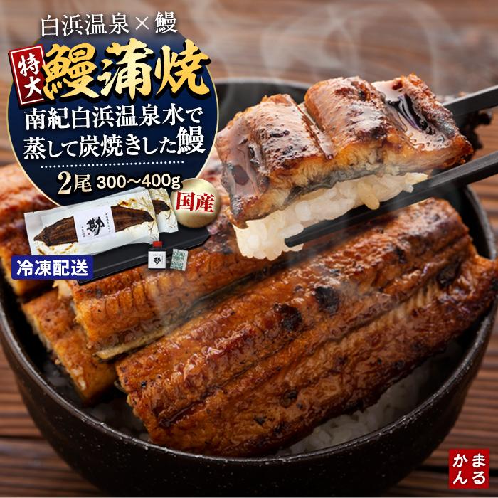 【ふるさと納税】うなぎ 鰻 ウナギ うなぎ蒲焼 鰻蒲焼 国産 特大 2本 2尾 和歌山県 白浜町 白浜温泉 タレ 山椒 付き 合計300～400ｇ和歌山県 白浜町 白浜温泉 備長炭 真空パック CAS冷凍 丑の日 ギフト 国内産 食べ物 グルメ お中元 お歳暮 誕生日 お取り寄せ 贈答 冷凍食品